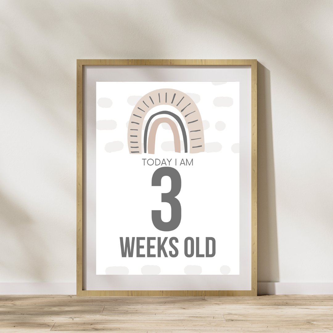 Printable Baby Milestone Cards | Digital Download